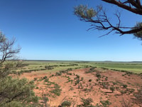 Winton, Bladensburg National Park Halb Day Tour - Housity