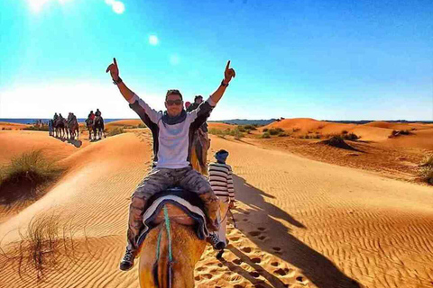 Agadir / Taghazout : Timlalin Dunes Desert Sunset Tour From Taghazout