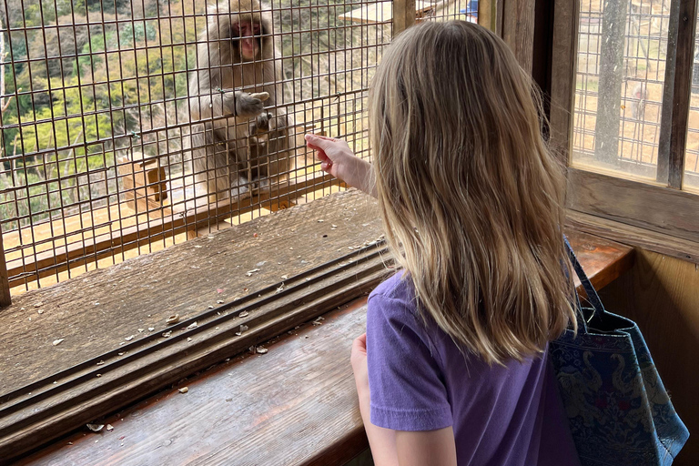 Kyoto: Arashiyama Unveiled – Bamboo, Temple, Matcha, Monkeys Kyoto: Arashiyama Unveiled Bamboo, Temple, Matcha, & Monkeys