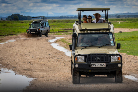 3-Day Amboseli and Tsavo East Safari Tour
