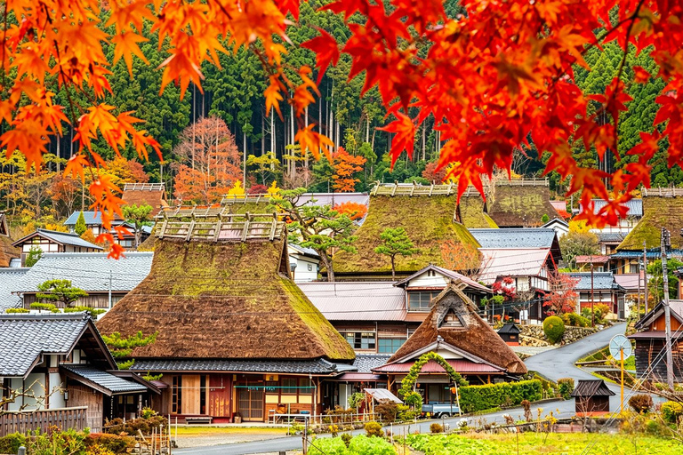 Osaka: Amanohashidate, Ine Cruise & Miyama Village From Osaka (Basic Package)