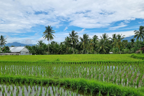 Lombok: Private Customizable Tour with Driver-Guide North Lombok Tour From South Lombok