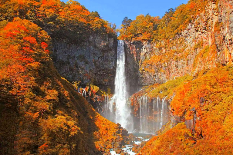 Nikko Day Trip: Toshogu Shrine & Kegon Falls & Lake Chuzenji 8:00 am JR Tokyo Station North Exit
