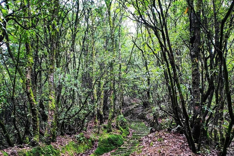 Kathmandu: Jamacho (Nagarjung Danda) dagwandelingJamacho trektocht