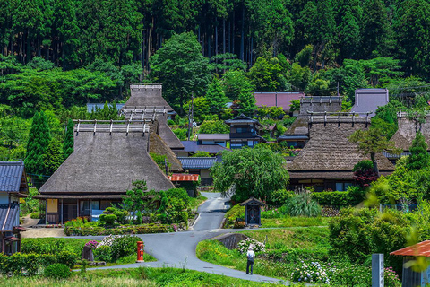 Tour de día completo por Kioto: Pueblo de Miyama, Amanohashidate y la Bahía de Ine