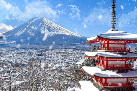 Tokyo: Private Daytrip to Mount Fuji - Fully Customizable Mt Fuji Private Luxury Van Tour (Customizable Experience)