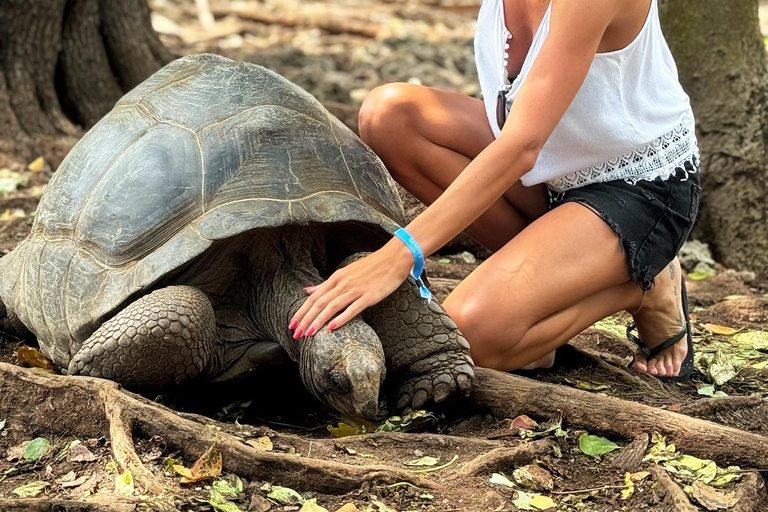 Ciudad de piedra y prisión Isla