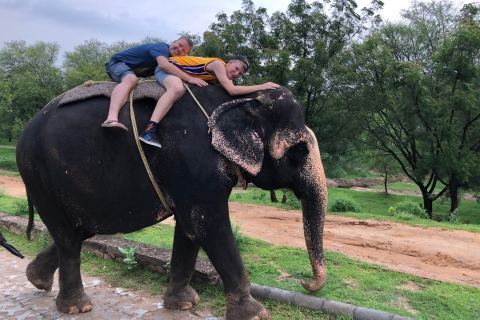 Tour de la ciudad de Jaipur con interacción con elefantesTour con coche privado y guía con interacción con elefantes