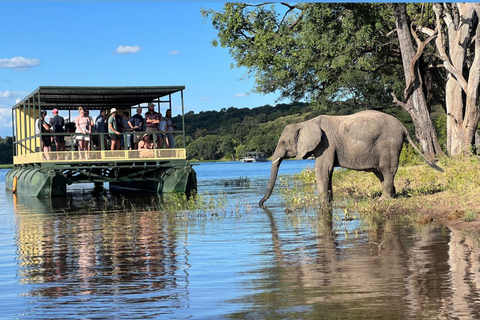 Safari de un día en el Chobe y Safari en barco desde las cataratas Victoria - 8 h