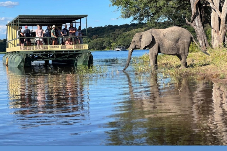 Chobe Day Safari i safari łodzią z Wodospadów Wiktorii - 8 godz.