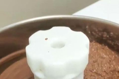 Colombian Cocoa Workshop: From the Origin to the Sensory Experience in Bogota