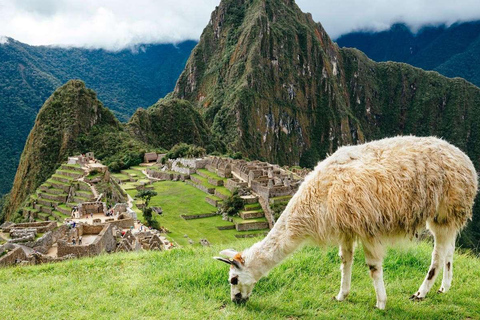From Sacred Valley: Pisaq and Ollantaytambo + Machu Picchu