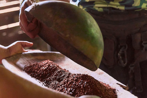 Cahuita National Park+Bribri Chocolate Tour+Waterfalls Tour+Lunch