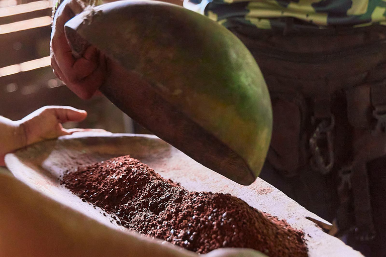 Cahuita National Park+Bribri Chocolate Tour+Waterfalls Tour+Lunch