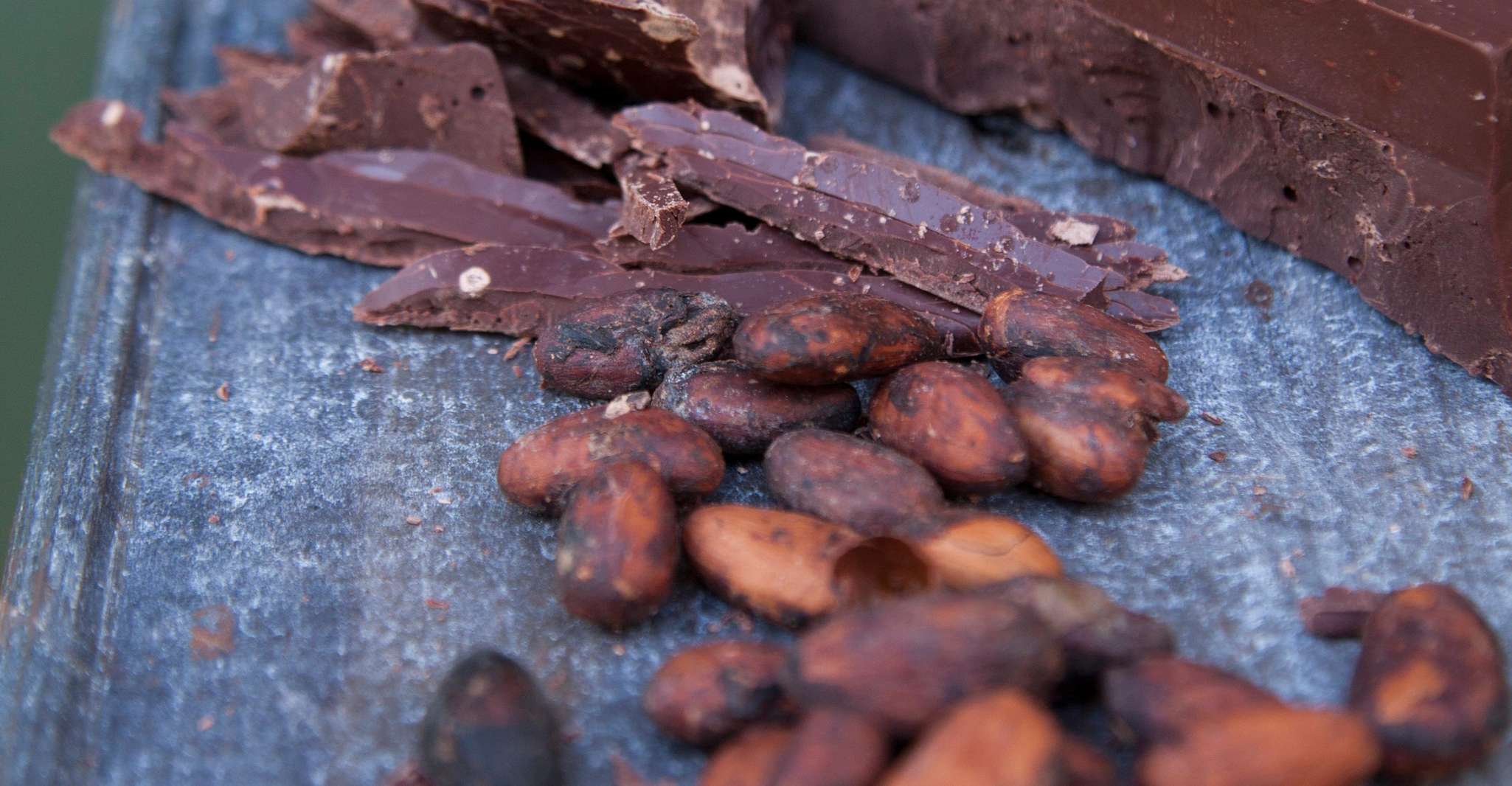 Zaandijk, Chocolate making demonstration & tasting - Housity