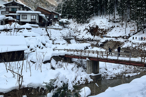 Depuis Tokyo : Excursion d&#039;une journée au parc des singes des neiges de Nagano et au temple Zenkoji