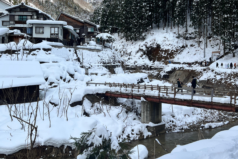 Depuis Tokyo : Excursion d&#039;une journée au parc des singes des neiges de Nagano et au temple Zenkoji