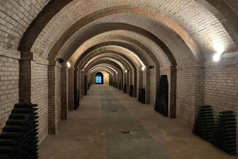 Abbey Tour, Wine Tasting and Light Lunch near Pisa English