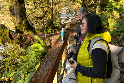 Vancouver: Regenwald-Wasserfall-Wanderung und Hängebrücke