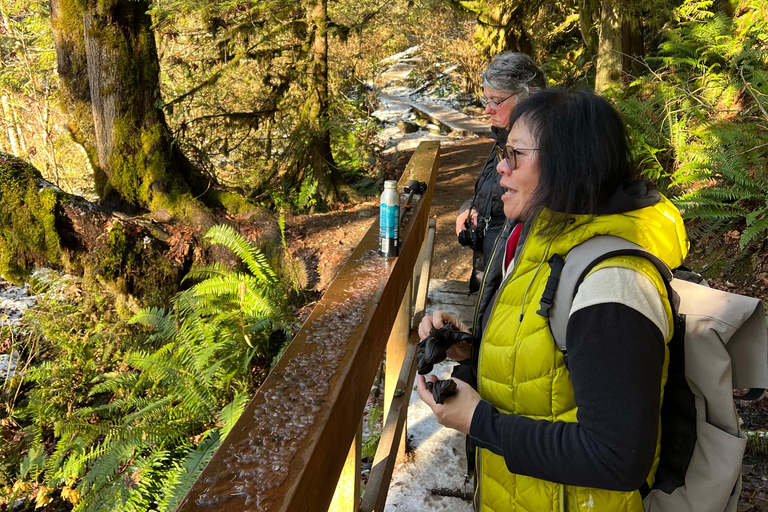 Vancouver: Regenwald-Wasserfall-Wanderung und Hängebrücke