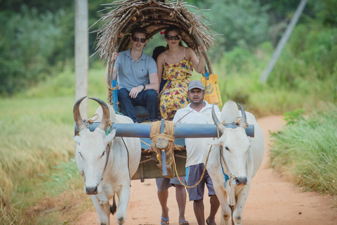 From Udaipur: Authentic Village Safari Experience