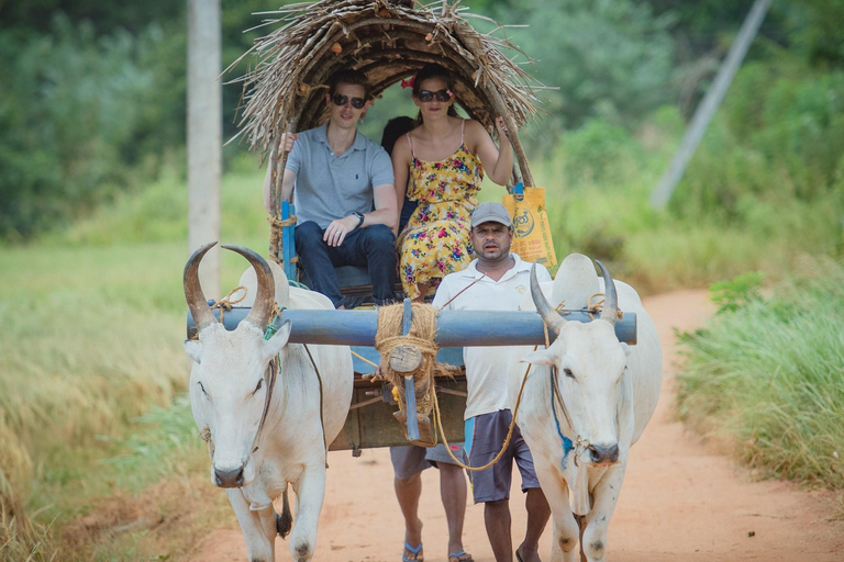 From Udaipur: Authentic Village Safari Experience