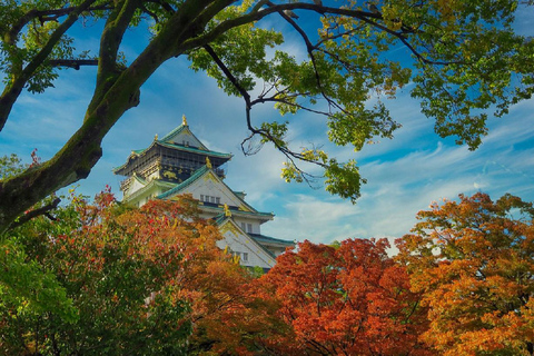 Osaka: Osaka Castle & Samurai History Walking Tour Small Group Tour with Entrance fee