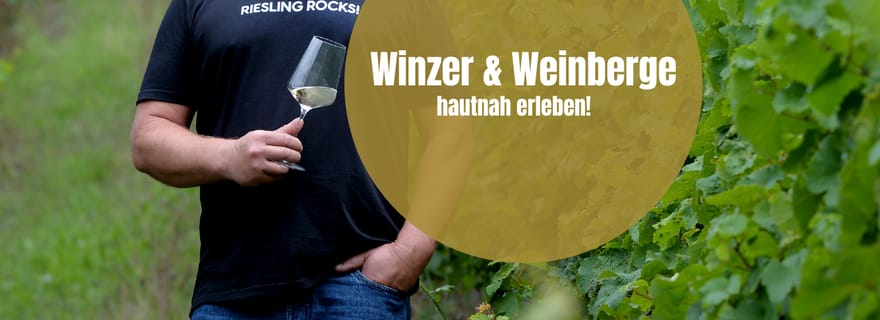 Poméranie : randonnée œnologique à travers les vignobles avec dégustation