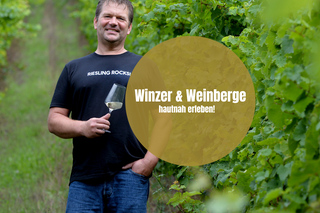 Wine hike through the vineyards including wine tasting with a great view!