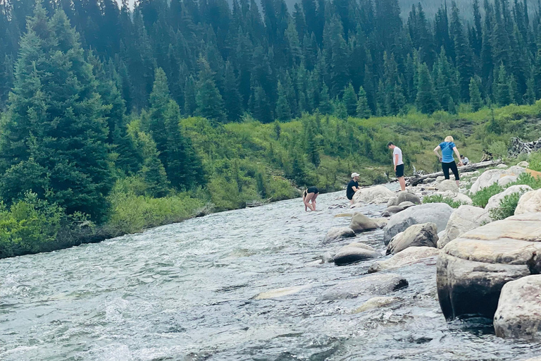 Au départ de Calgary : Visite de Banff, du lac Moraine et de Lake LouisePrise en charge à Calgary