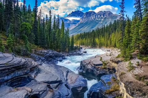Icefield Glacier & Skywalk Full-Day Tour