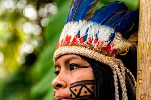 Iquitos : 2 jours en Amazonie, merveille naturelle du monde