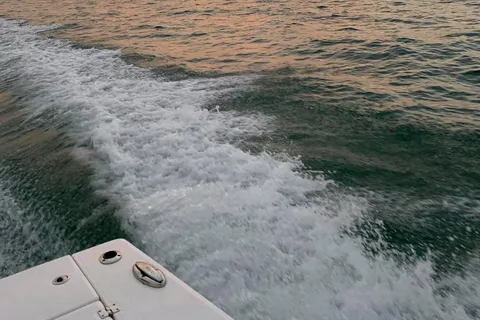 St Petersburg: In-Shore Fishing Charter