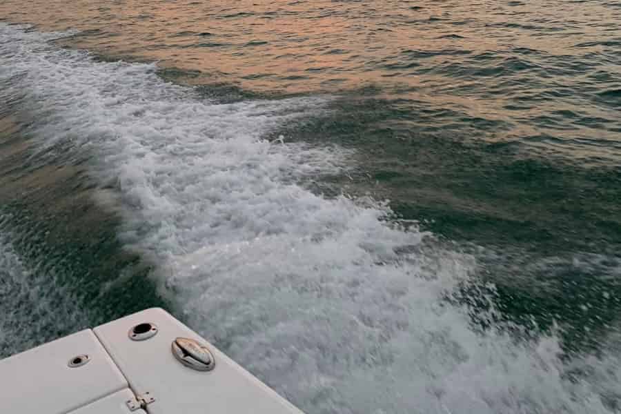 St. Petersburg: In-Shore Fishing Charter. Foto: GetYourGuide