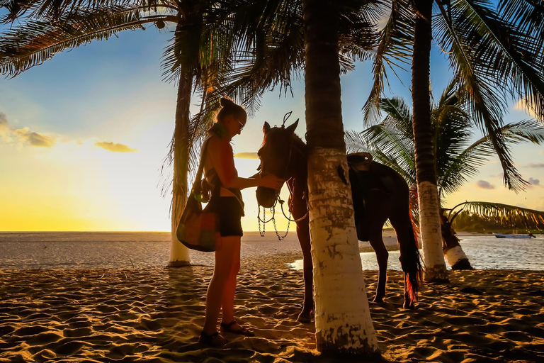 Sunset by Horse on the Beach