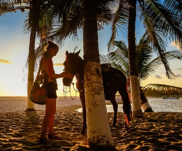 Sunset by Horse on the Beach