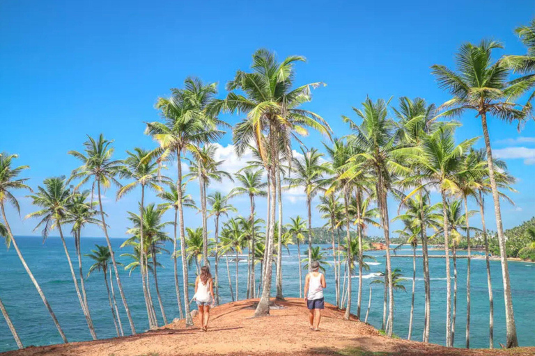 Down South Sri Lanka: 5-Day Beach Adventure Tour