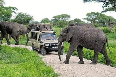 5-dagars safari till Tarangire, Serengeti och Ngorongoro-kratern