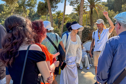 Barcelona: Park Güell Guided Tour with Skip the Line Ticket Spanish Tour