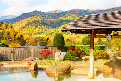 Sapporo : Excursion d'une journée au lac Toya, au parc du mont Yoteisan et aux sources d'eau chaudeLieu de rendez-vous à la gare de Sapporo