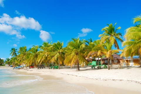 Excursão à Ilha Saona e ao Rio Chavon com almoço e bebidasOpção de excursão regular em grupo compartilhado