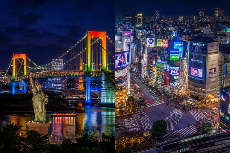 Tokyo Private Sightseeing Tour Top Attractions in One Day