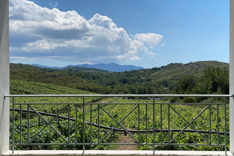 Rodas: Visita a Bodegas y Degustación