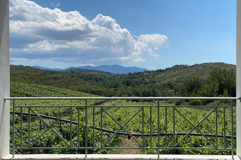 Rodas: Visita a Bodegas y Degustación