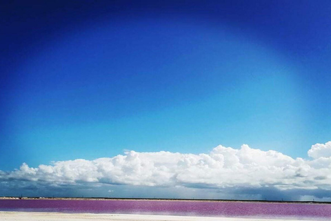 Jukatan: Las Coloradas Pink Lake i Rio Lagartos Tour z lunchem