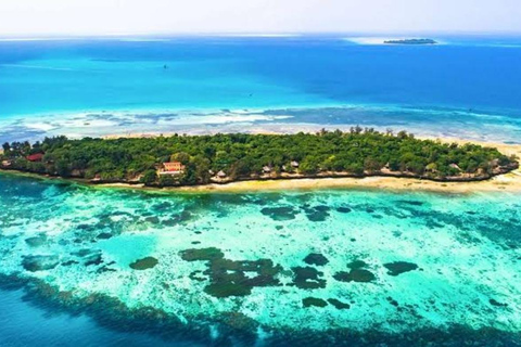 Zanzibar: tour di mezza giornata a Prison Island con snorkelingZanzibar: tour di mezza giornata all'Isola della Prigione con snorkeling