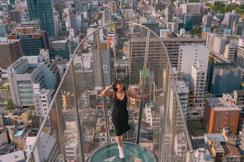 Tokyo City Highlights Customize Private Tour English Guide