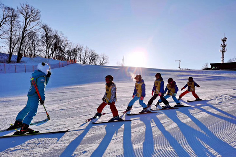 Tokyo: Mt Fuji Ski and Hot Spring Day Trip with Hotel Pickup 7:30 Pick&Drop from Hotel/BnB