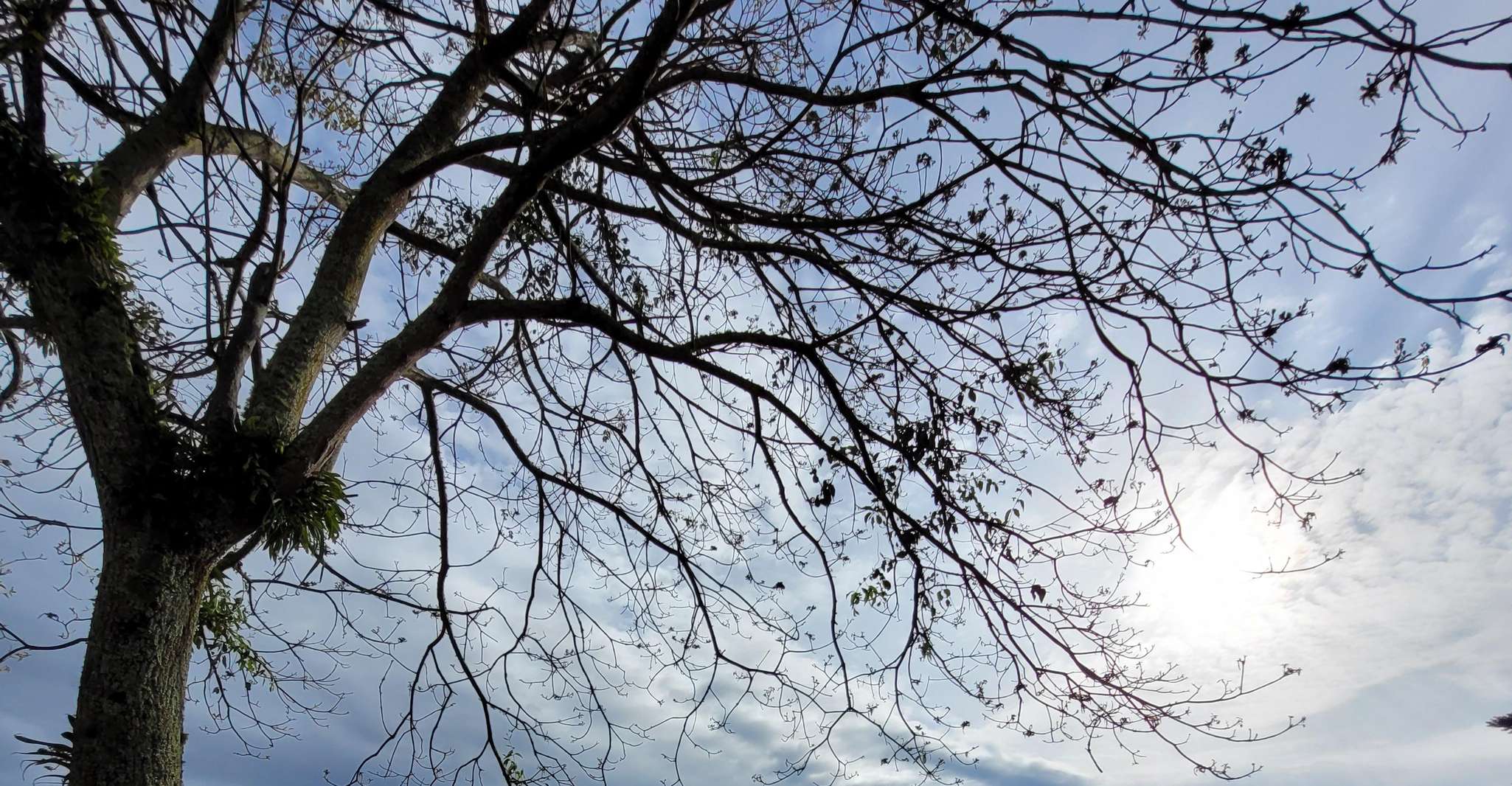 Salento, City tour + Nature - Housity