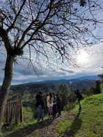 Salento, City tour + Nature - Housity